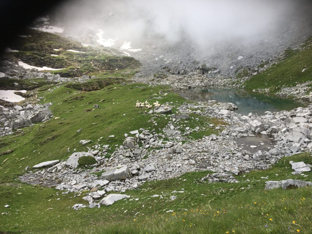 20200711_105335326_iOS