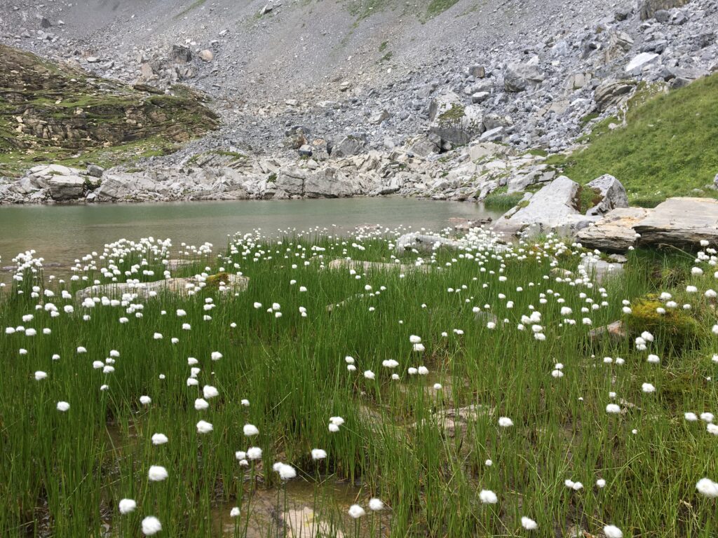 20200811_153054514_iOS