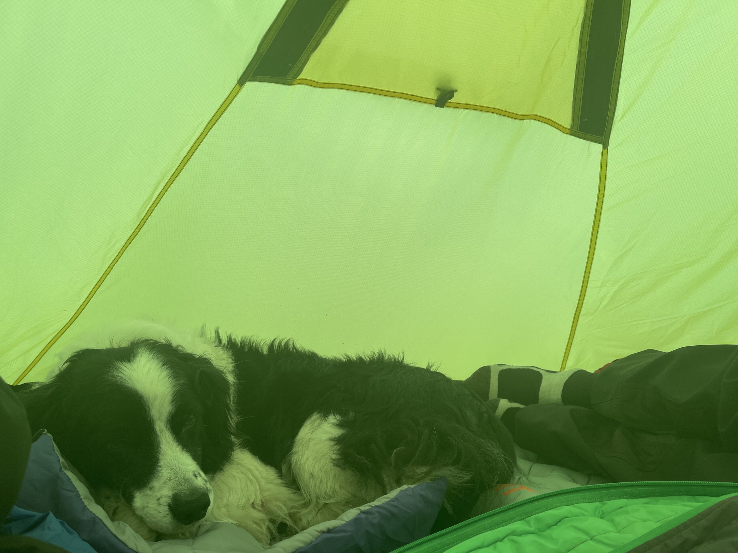 20210727_144219459_iOS