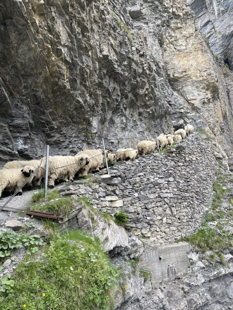 20220617_160225687_iOS