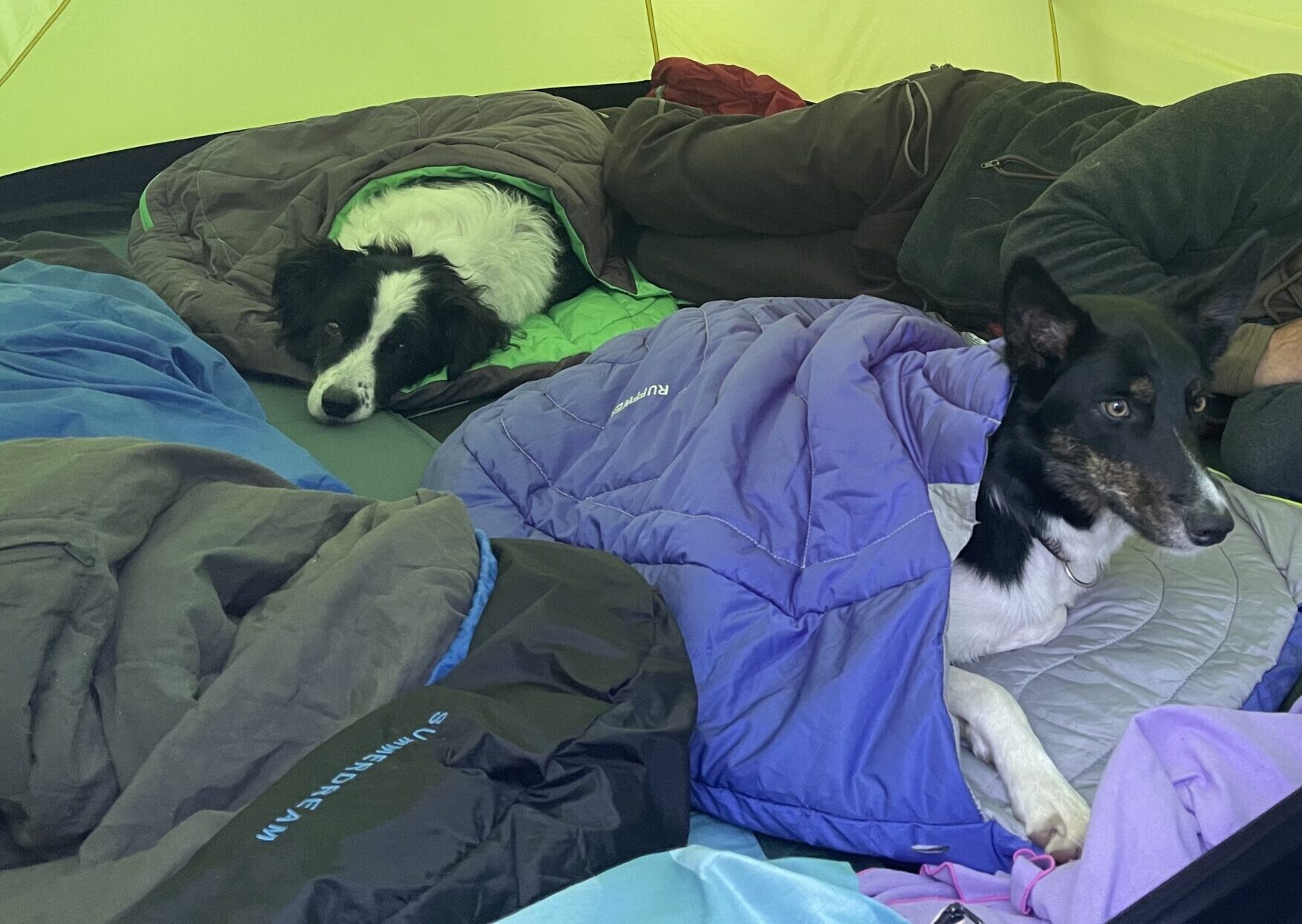 20220705_181548864_iOS