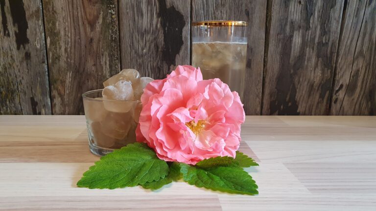 Aromatische Eiswürfel