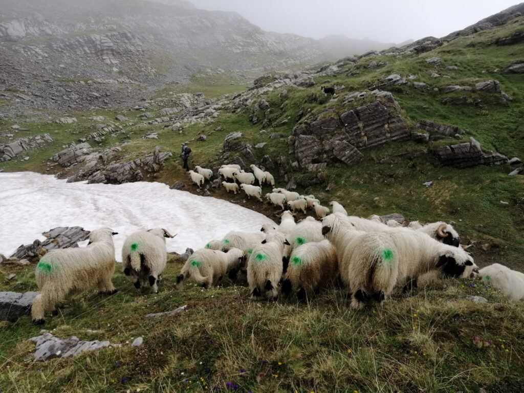 20200619_171211000_iOS