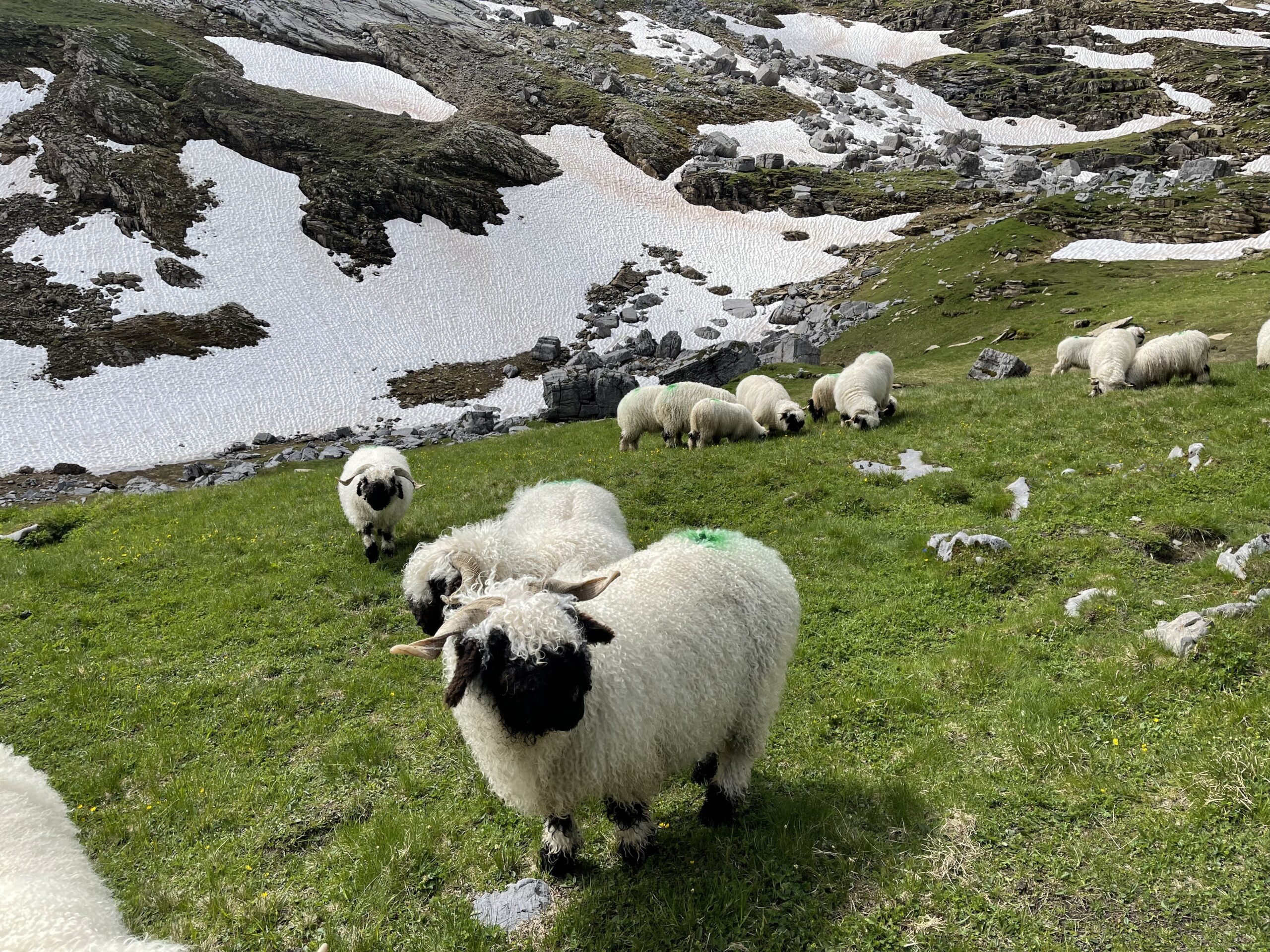 20210718_091414407_iOS