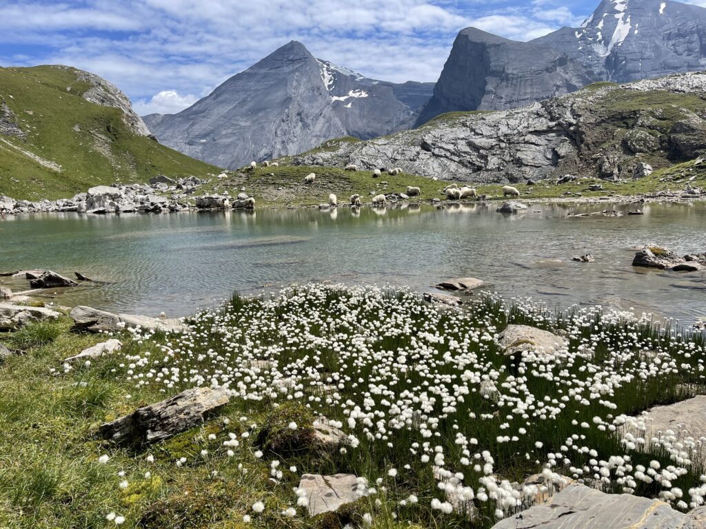 20230819_110142350_iOS