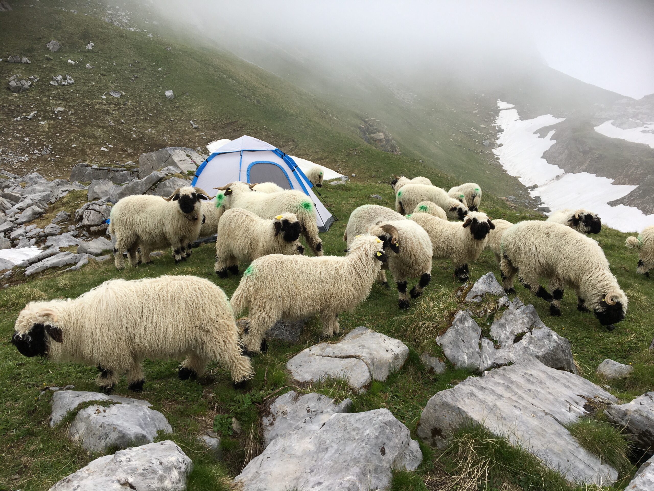 20200622_130000002_iOS