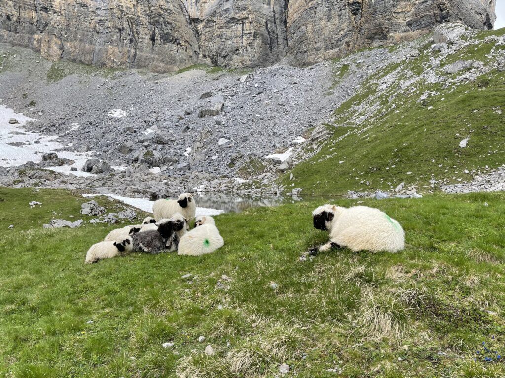 20210718_092523365_iOS