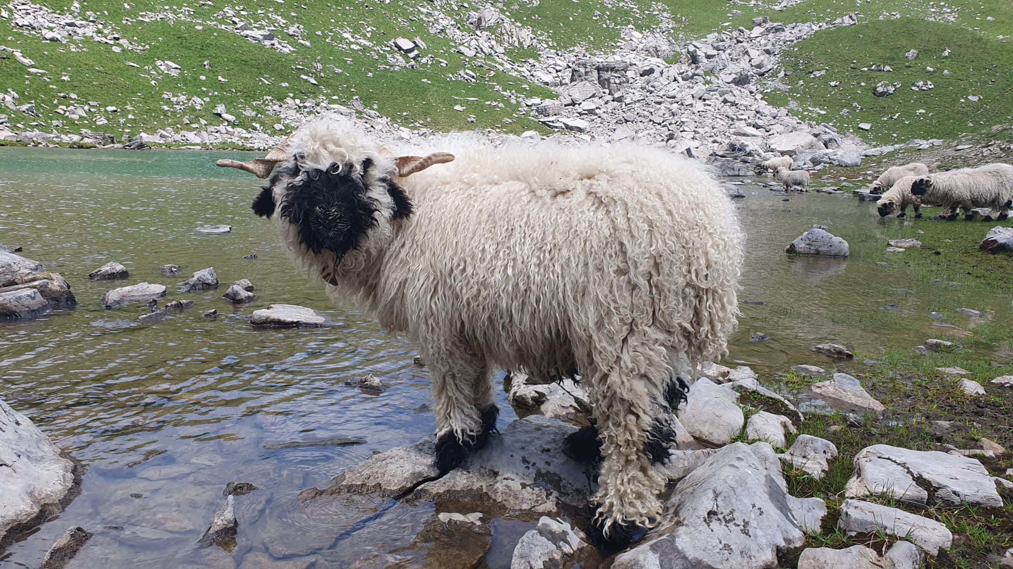 20230717_151337000_iOS