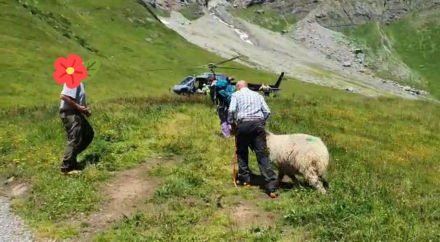 VideoCapture_20240812-163402