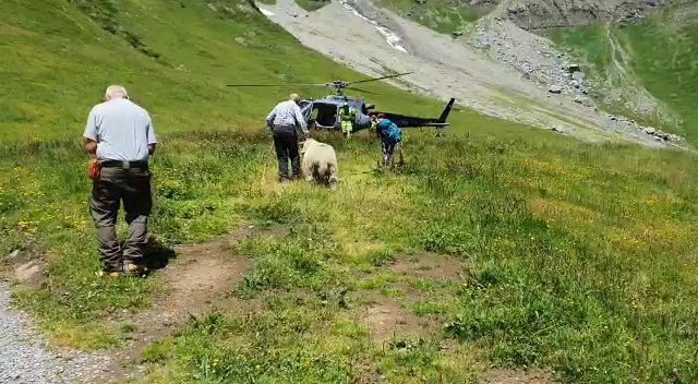 VideoCapture_20240812-163427